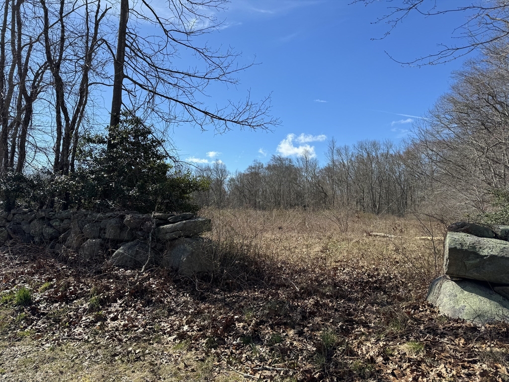 8 Strawberry Lane Westport, MA 02790 - Photo 4 of 12 a view of a yard with lots of green space