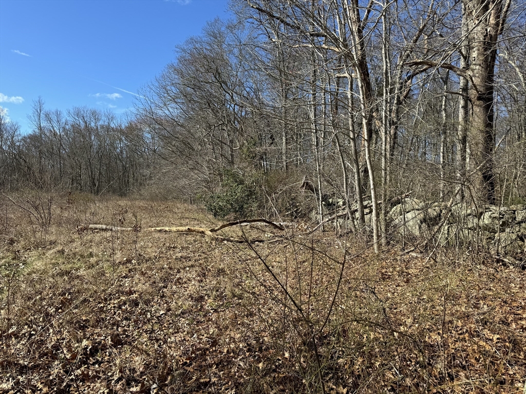 8 Strawberry Lane Westport, MA 02790 - Photo 5 of 12 a view of a yard with trees