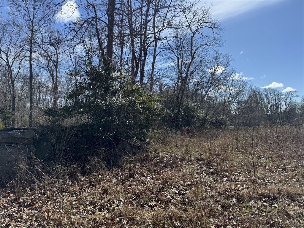 8 Strawberry Lane Westport, MA 02790 - Photo 7 of 12 a view of a forest with trees in the background