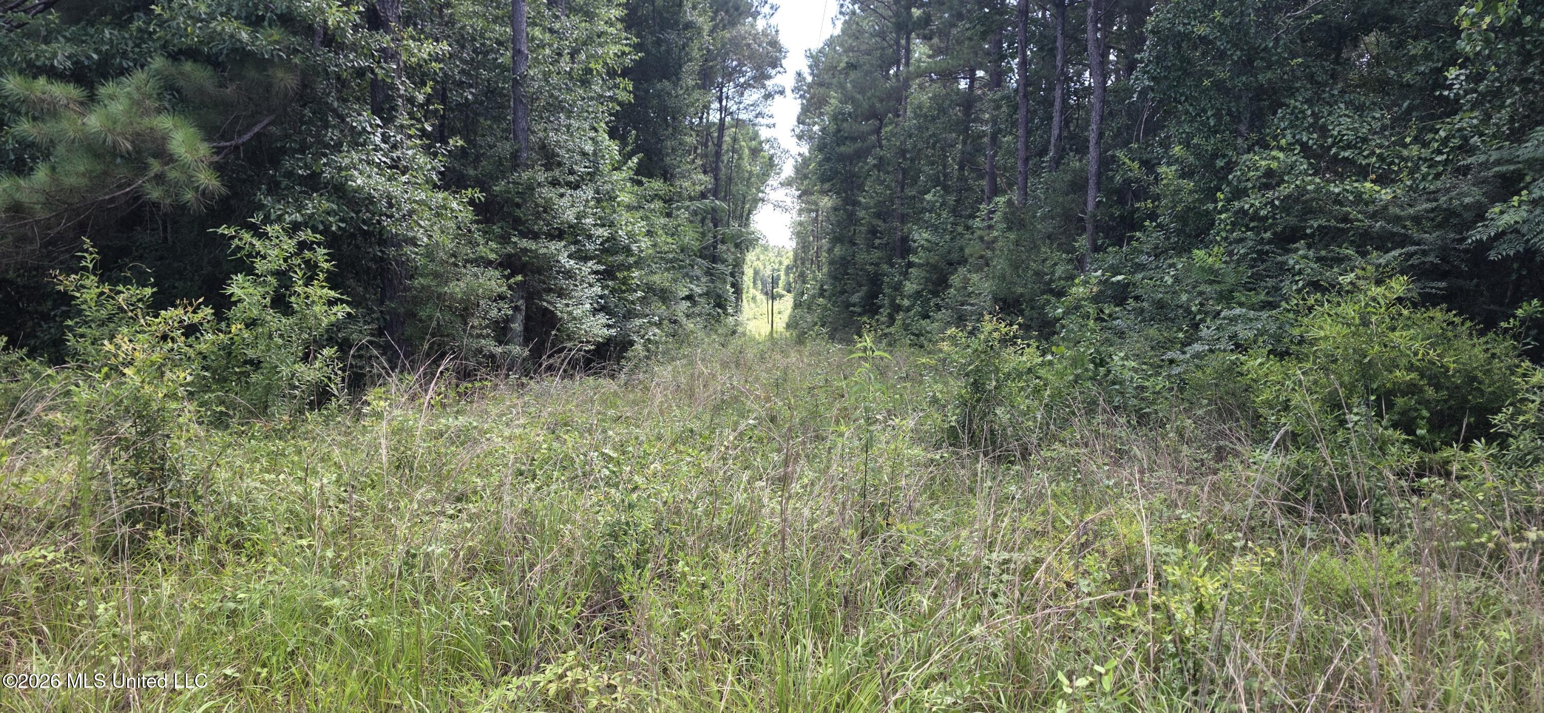 2046 Barto Leggett Road McComb, MS 39648 - Photo 5 of 29 20260623_155653