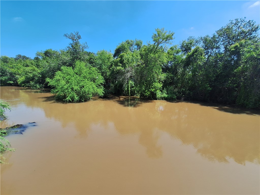 0 County Road Robstown, TX 78380 - Photo 9 of 17