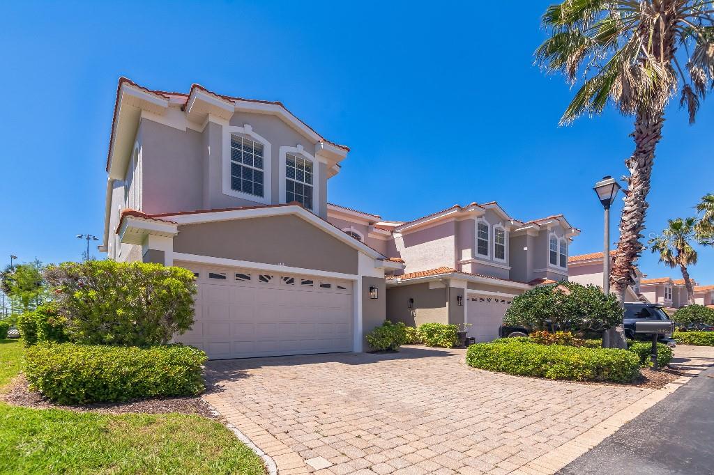1340 Ribolla Drive Palm Harbor, FL 34683 - Photo 1 of 30