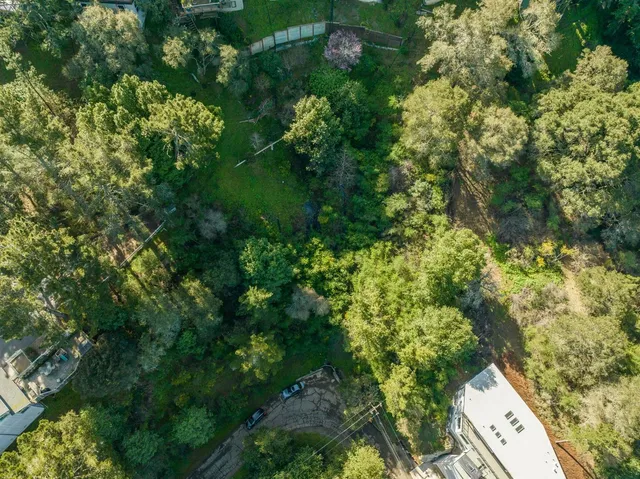 view of a yard with plants