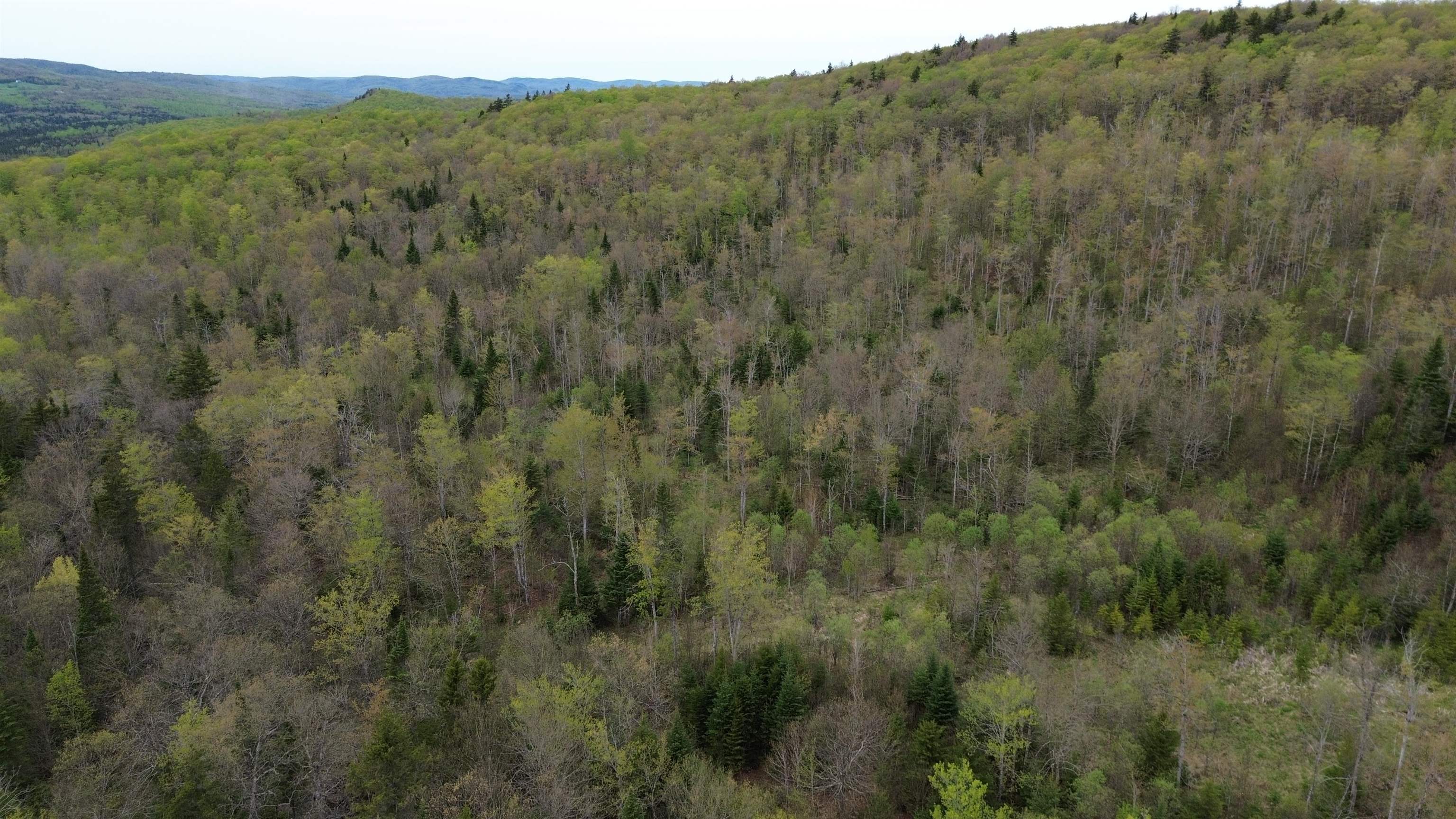 Mapb2-lot16 Dead Water Road Stewartstown, NH 03576 - Photo 26 of 31