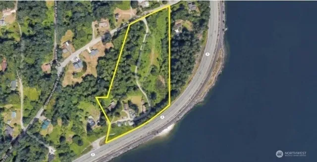 a close up of a plant in a garden