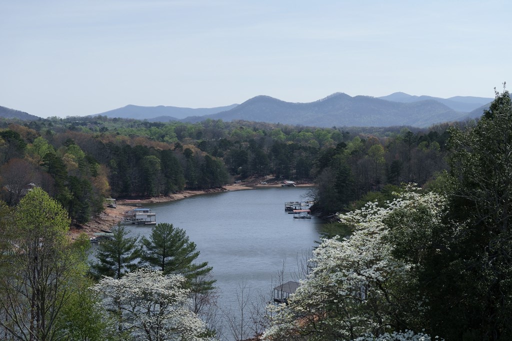 210 Canal Lake Road Blairsville, GA 30512 - Photo 4 of 98