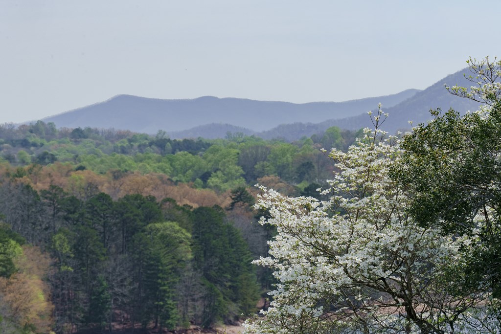 210 Canal Lake Road Blairsville, GA 30512 - Photo 5 of 98