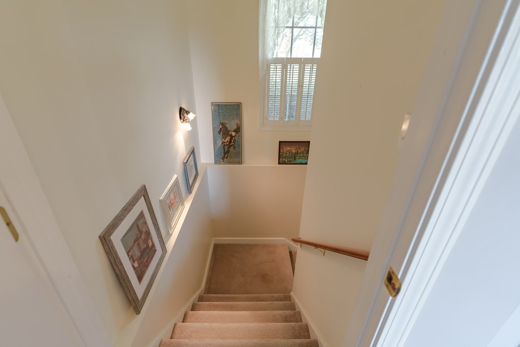 210 Canal Lake Road Blairsville, GA 30512 - Photo 51 of 98