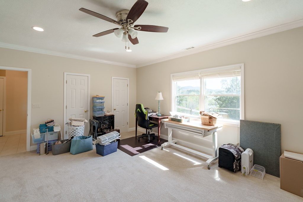 210 Canal Lake Road Blairsville, GA 30512 - Photo 65 of 98