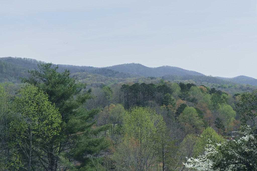 210 Canal Lake Road Blairsville, GA 30512 - Photo 72 of 98