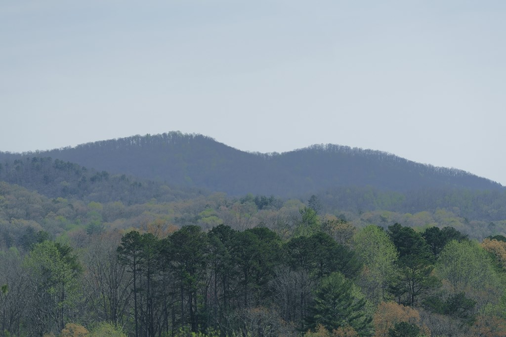 210 Canal Lake Road Blairsville, GA 30512 - Photo 73 of 98