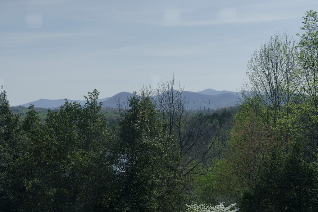 210 Canal Lake Road Blairsville, GA 30512 - Photo 74 of 98