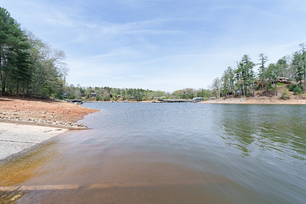 210 Canal Lake Road Blairsville, GA 30512 - Photo 76 of 98