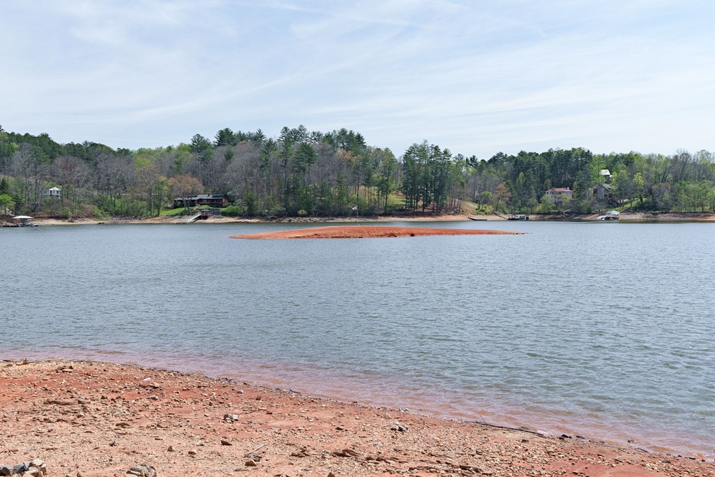 210 Canal Lake Road Blairsville, GA 30512 - Photo 80 of 98