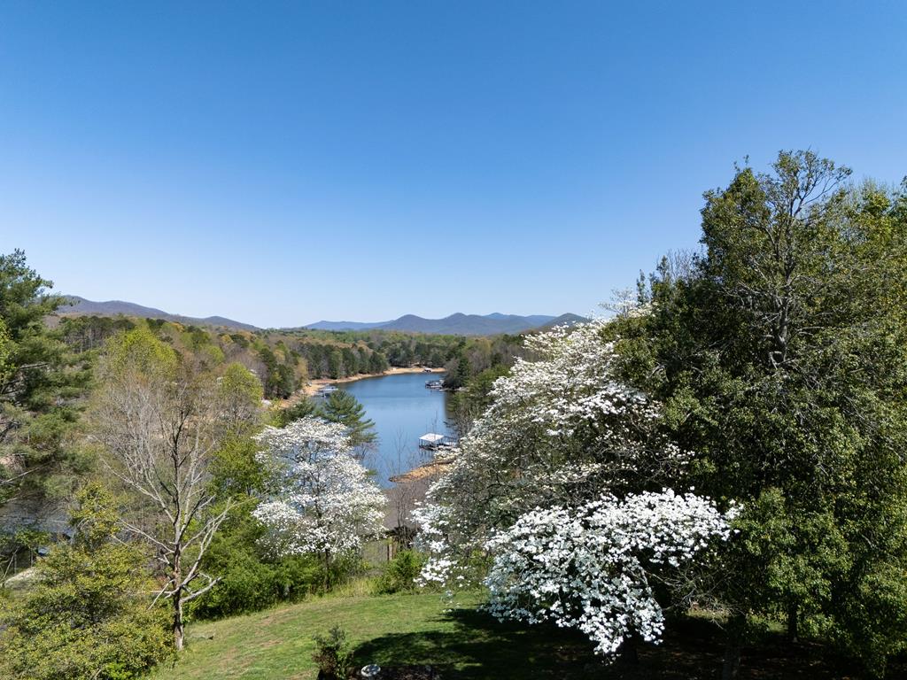 210 Canal Lake Road Blairsville, GA 30512 - Photo 89 of 98