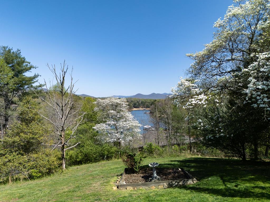 210 Canal Lake Road Blairsville, GA 30512 - Photo 93 of 98