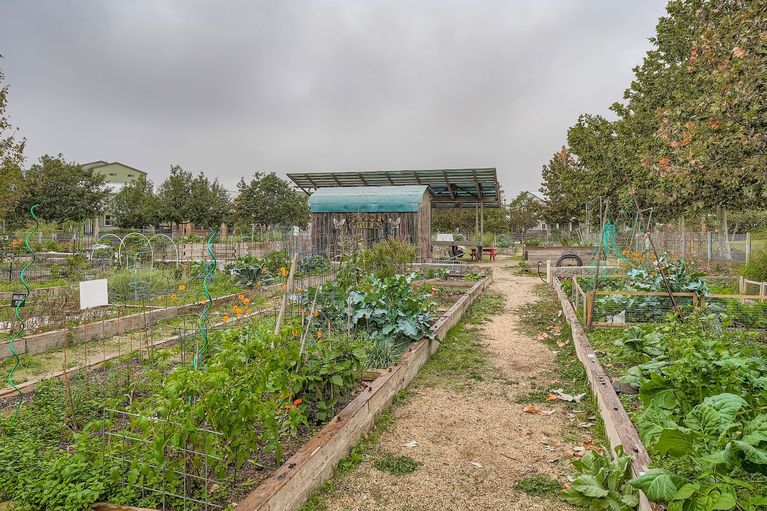 3905 Teaff Street Austin, TX 78723 - Photo 18 of 18 a view of a lake with a big yard