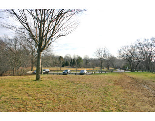 13 Wilson Road Waltham, MA 02452 - Photo 18 of 19 Gallery Image 18
