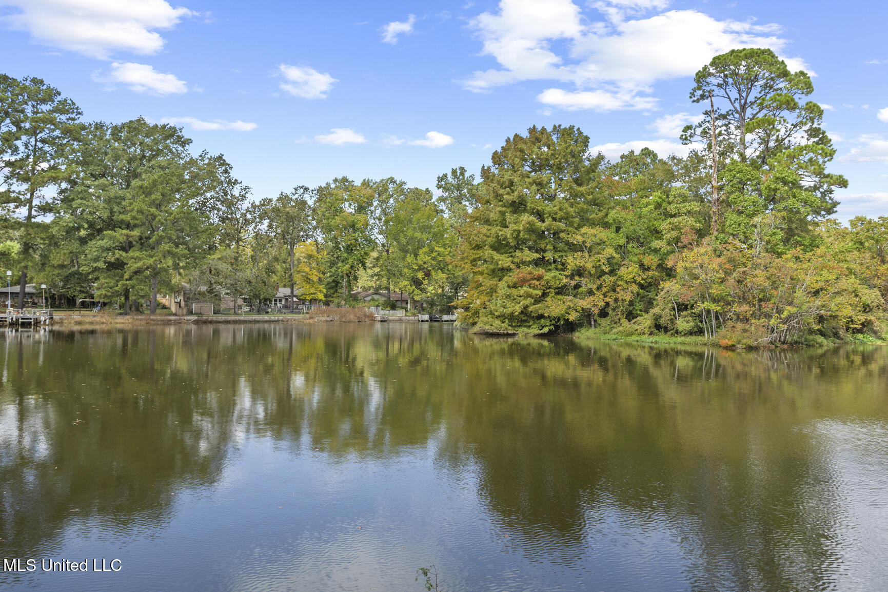 111 Arrowhead Trail Brandon, MS 39047 - Photo 22 of 80 111 Arrowhead Trail-9