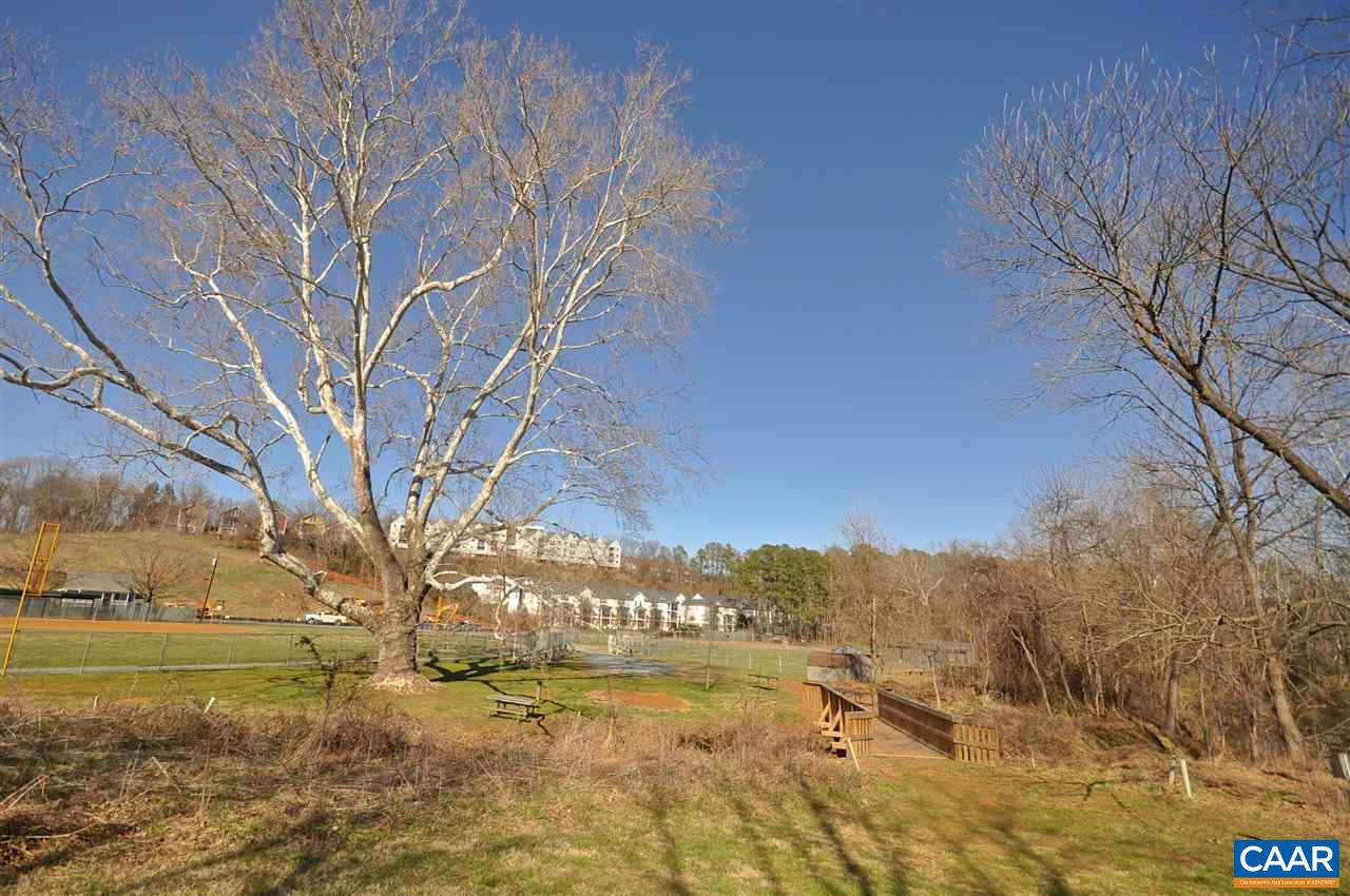 343 Quarry Road Charlottesville, VA 22902 - Photo 31 of 34 a view of large trees with a yard