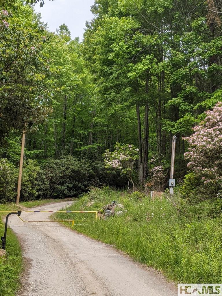 0 Buck Knob Road Cullowhee, NC 28723 - Photo 2 of 9 Gallery Image 2