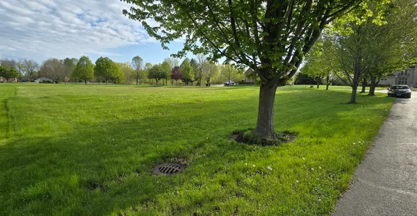 a big yard with lots of green space and trees