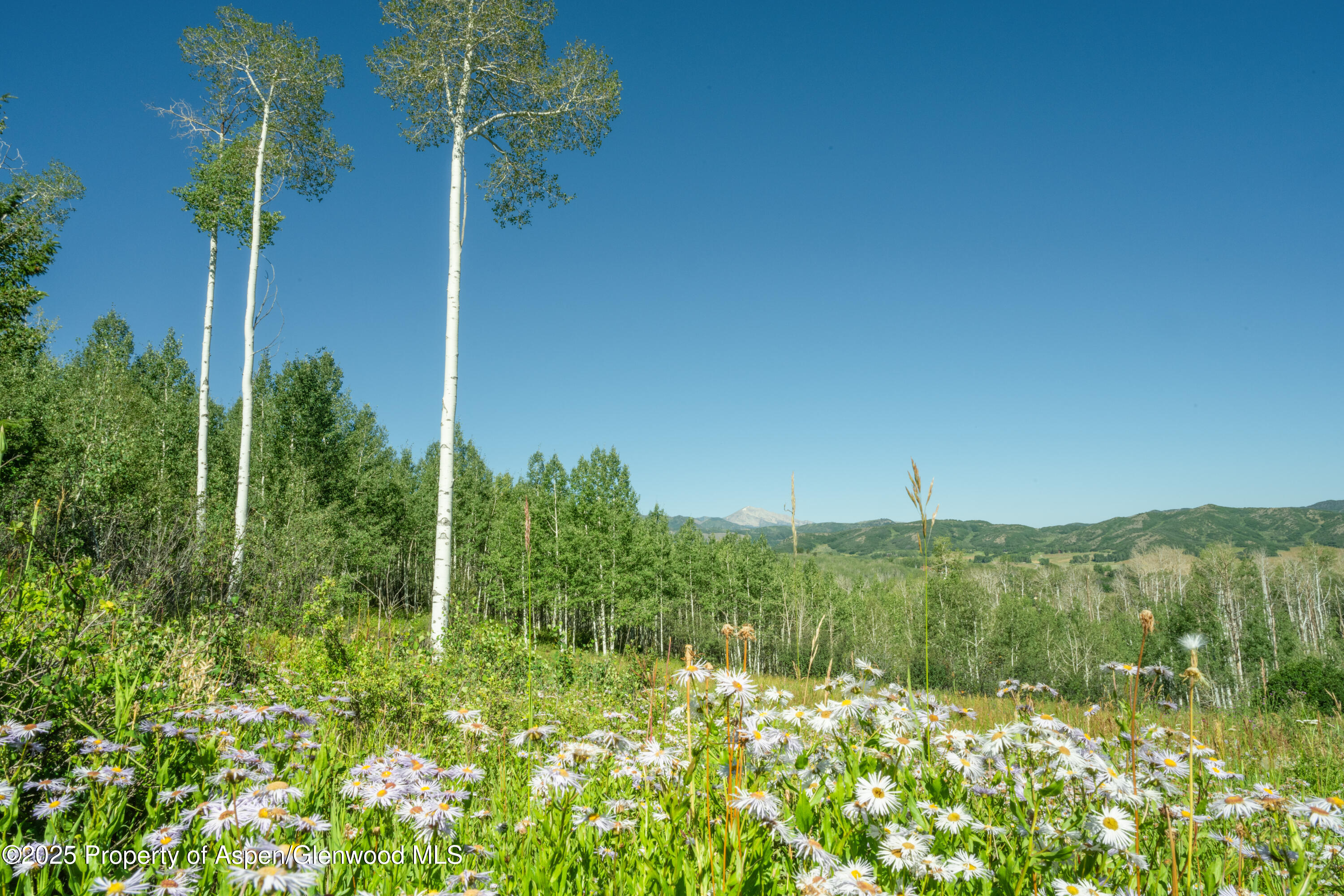 1833 West Buttermilk Road Aspen, CO 81611 - Photo 11 of 30 1822wBmilk_24072934