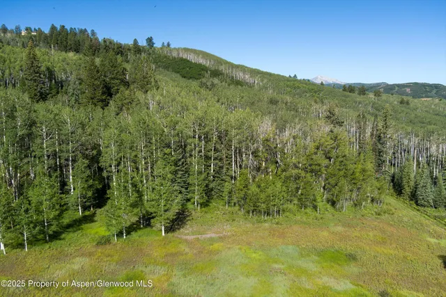 $18,500,000 | 1833 West Buttermilk Road, Aspen, CO 81611