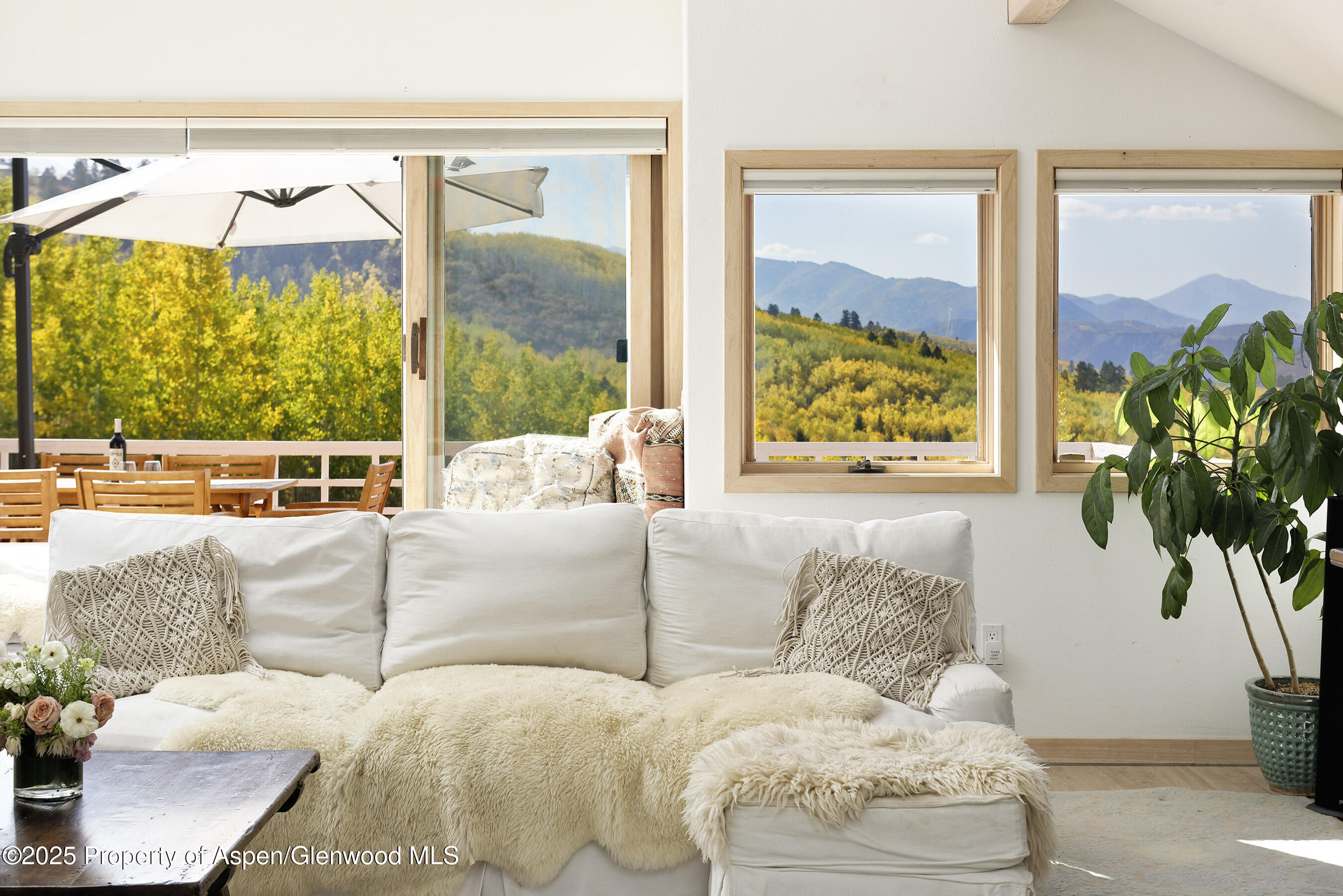 1833 West Buttermilk Road Aspen, CO 81611 - Photo 20 of 30 1833WButtermilk_DASH_200924017