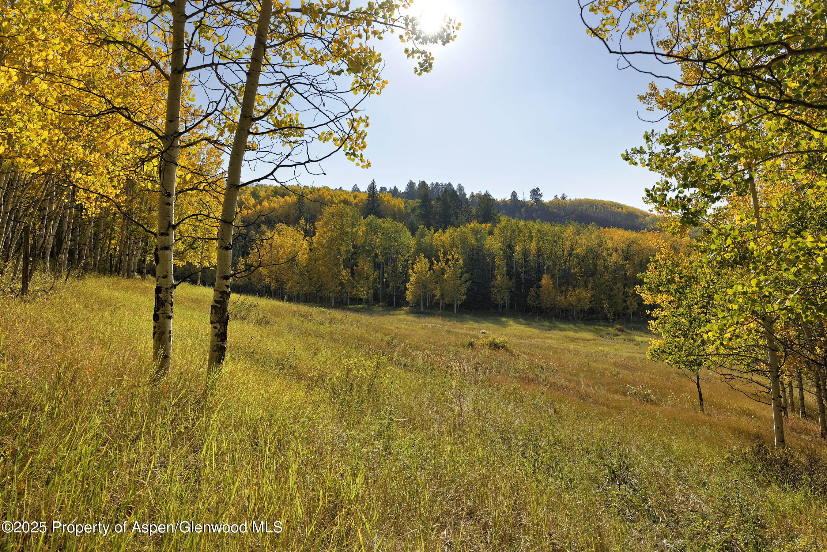 1833 West Buttermilk Road Aspen, CO 81611 - Photo 27 of 30 1833WButtermilk_DASH_200924027