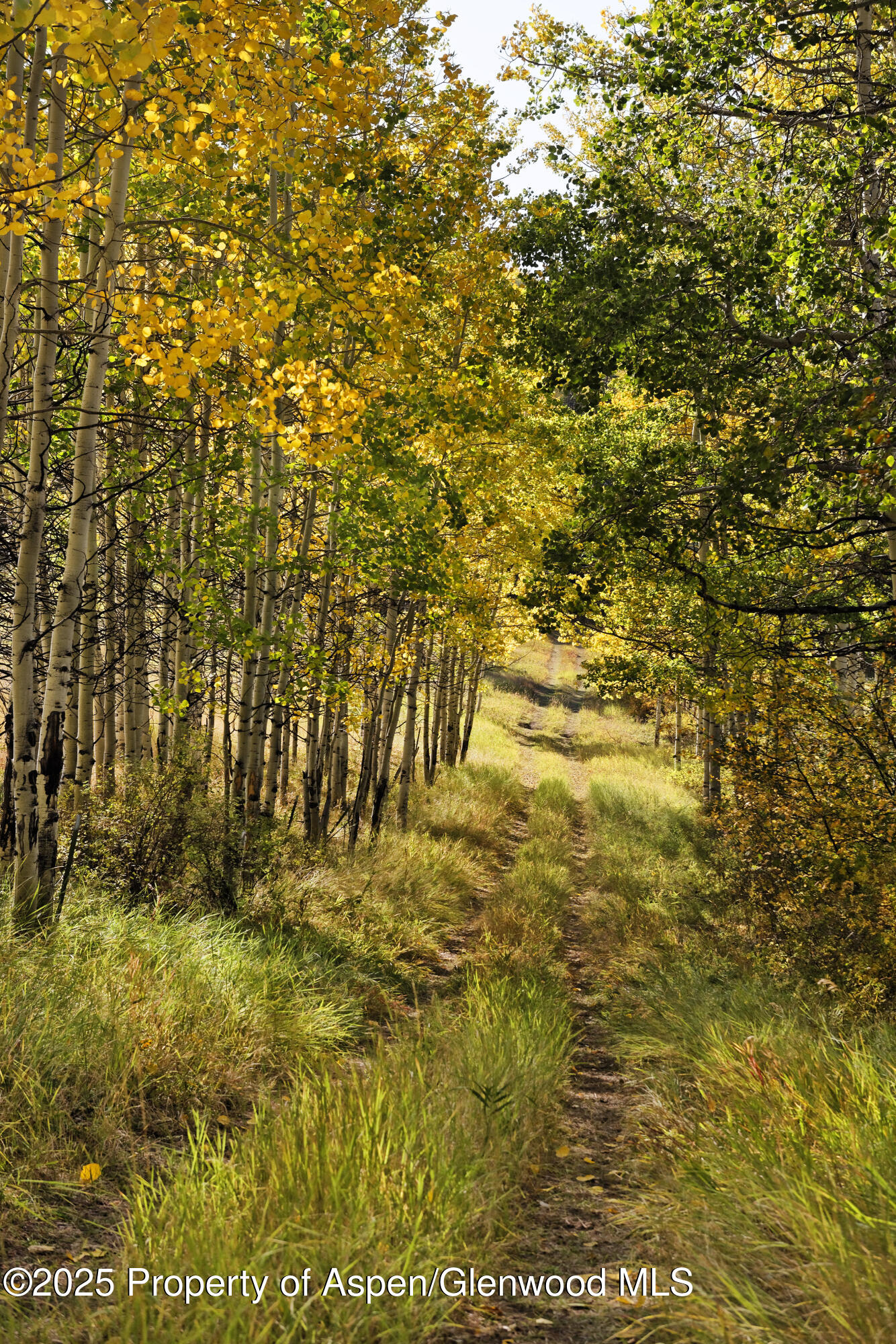 1833 West Buttermilk Road Aspen, CO 81611 - Photo 29 of 30 1833WButtermilk_DASH_200924024