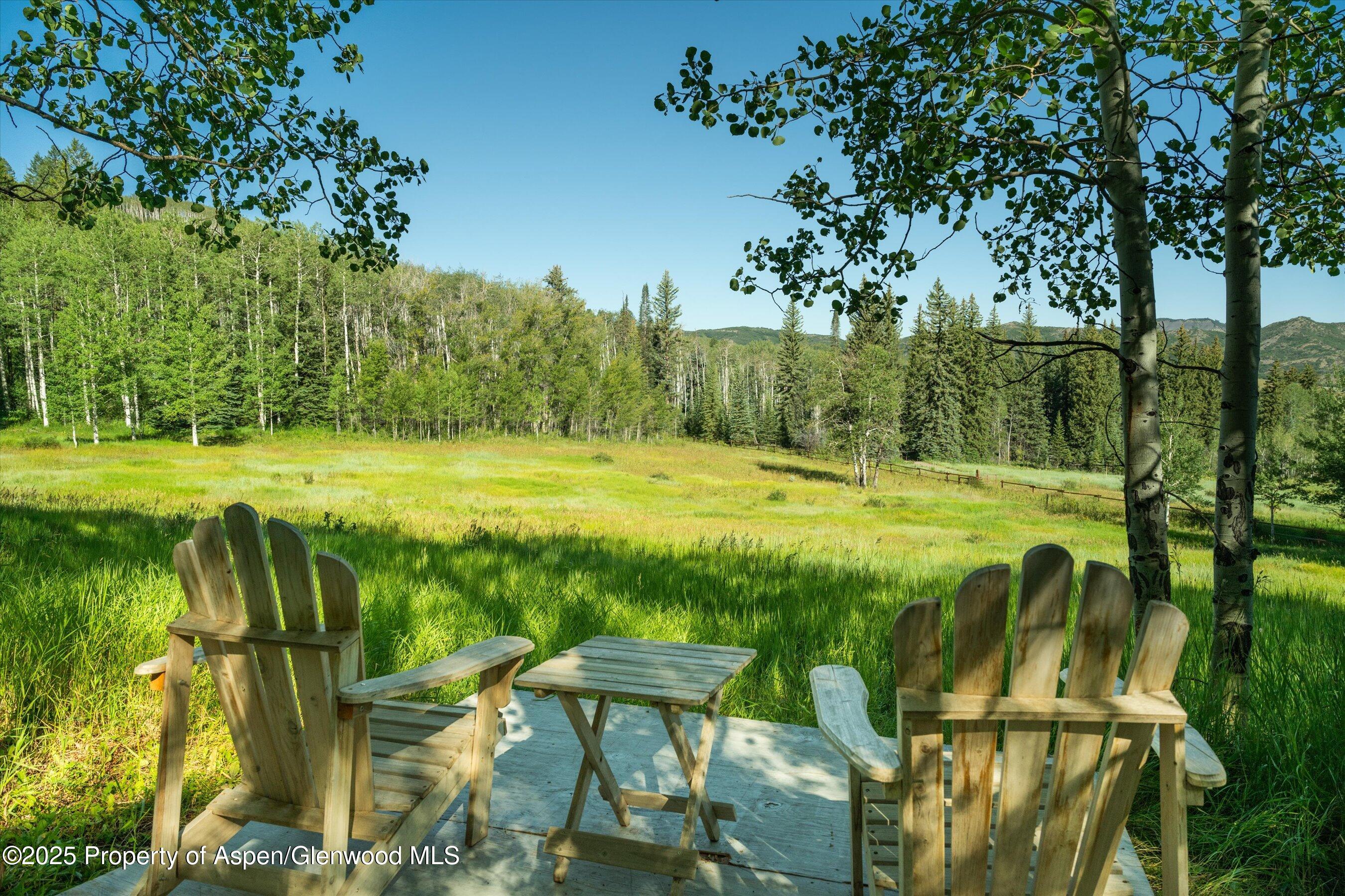 1833 West Buttermilk Road Aspen, CO 81611 - Photo 3 of 30 31-1822wBmilk_24072931
