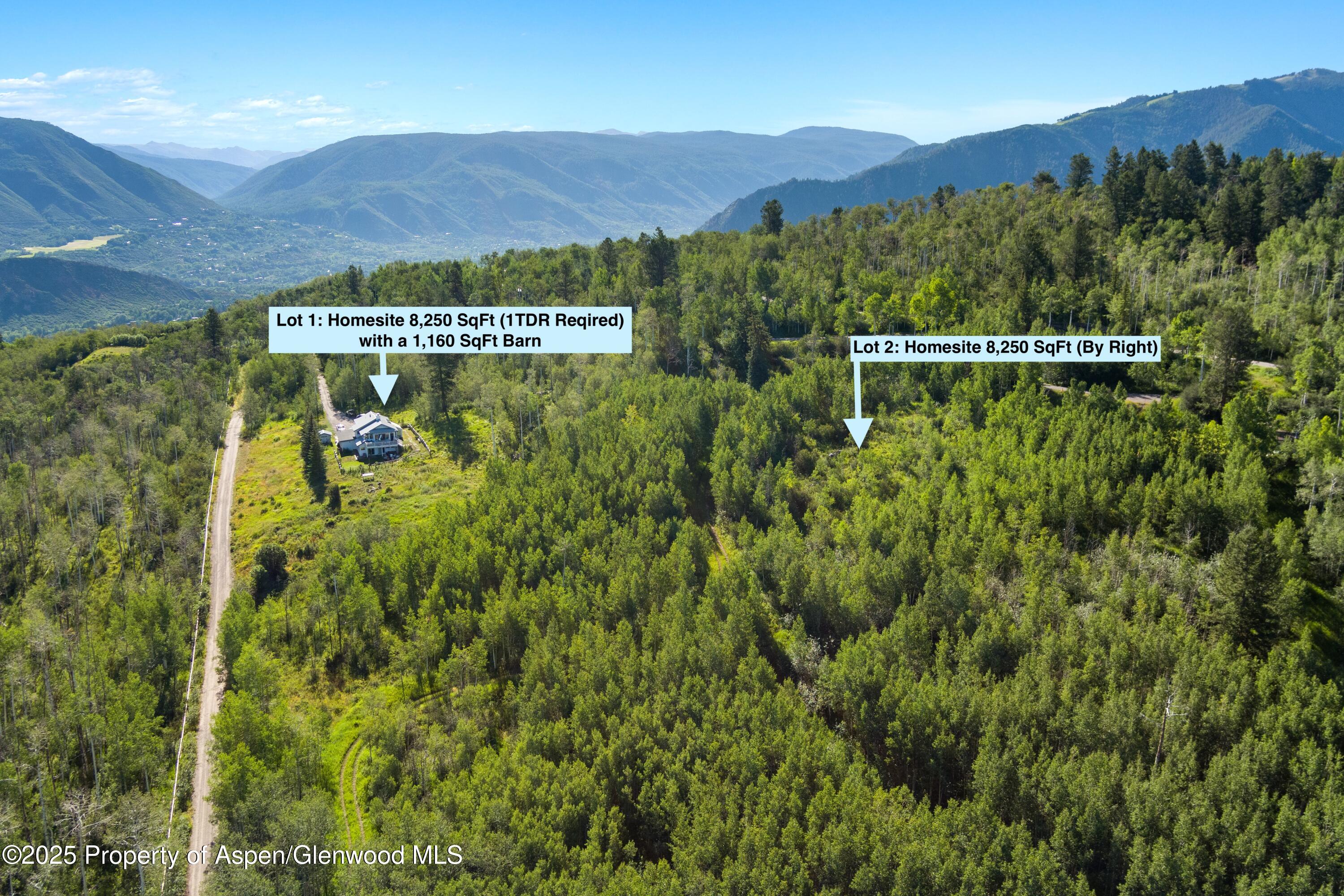 1833 West Buttermilk Road Aspen, CO 81611 - Photo 4 of 30 1833 Homes sites south