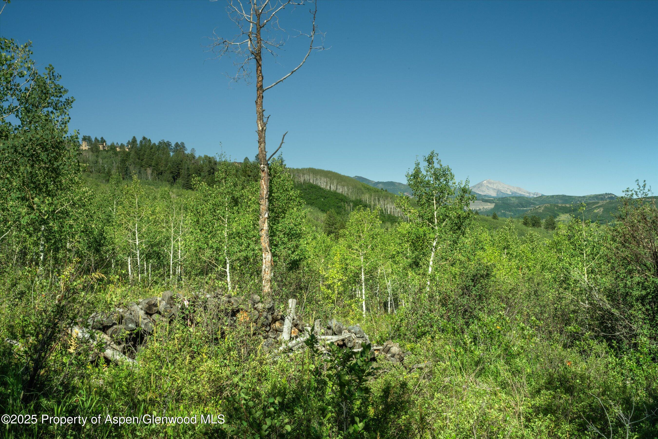1833 West Buttermilk Road Aspen, CO 81611 - Photo 10 of 30 Lot 2 Homesite