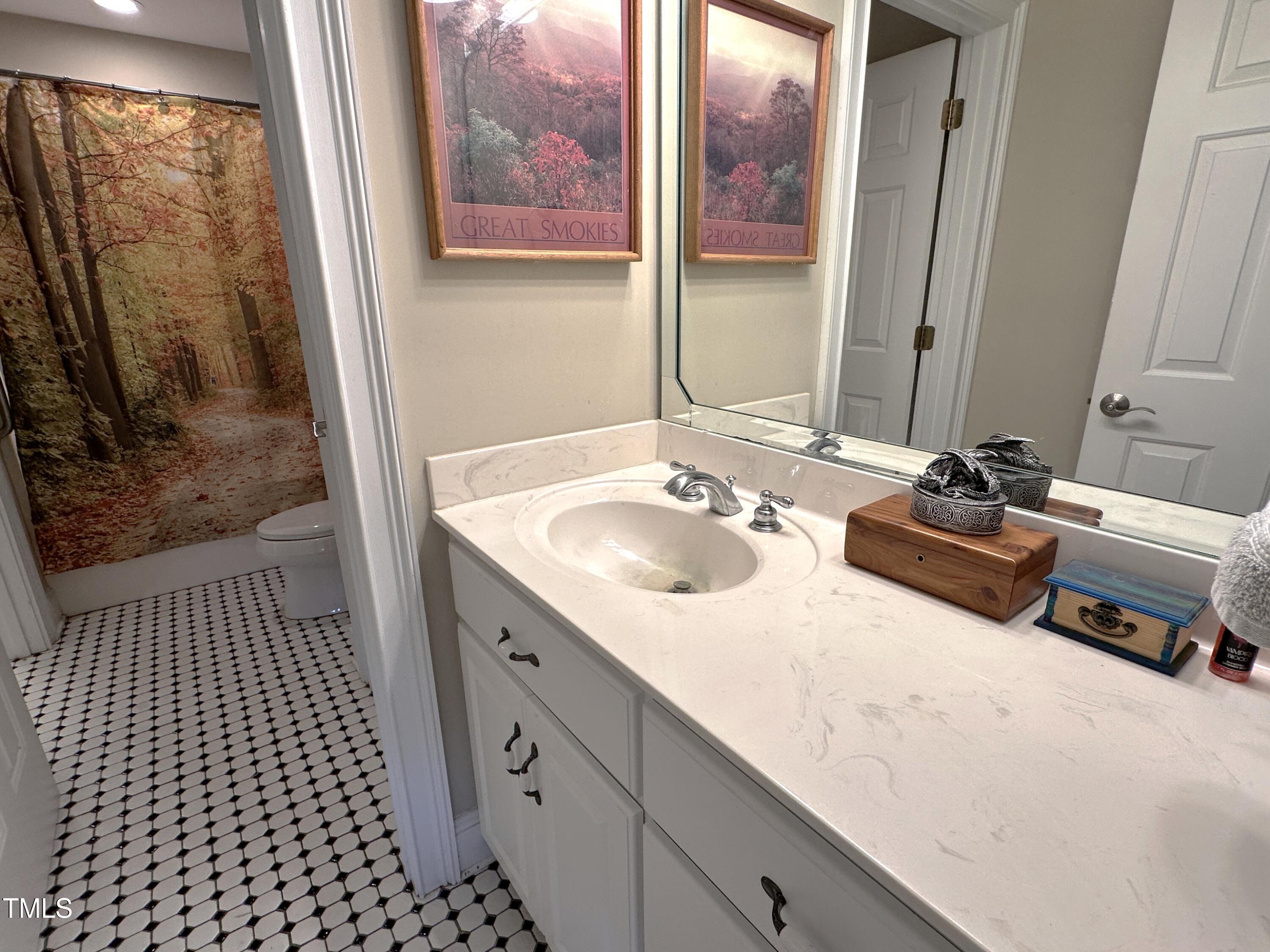 1919 Phelps Road Hillsborough, NC 27278 - Photo 42 of 67 FINAL_upstairs kid bath