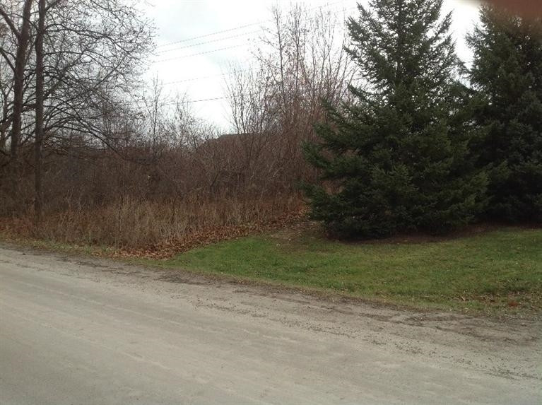 6863 Daly Road Dexter, MI 48130 - Photo 3 of 5 Photo 3