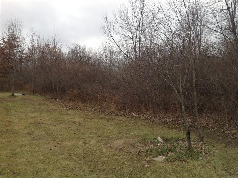 6863 Daly Road Dexter, MI 48130 - Photo 5 of 5 Photo 5