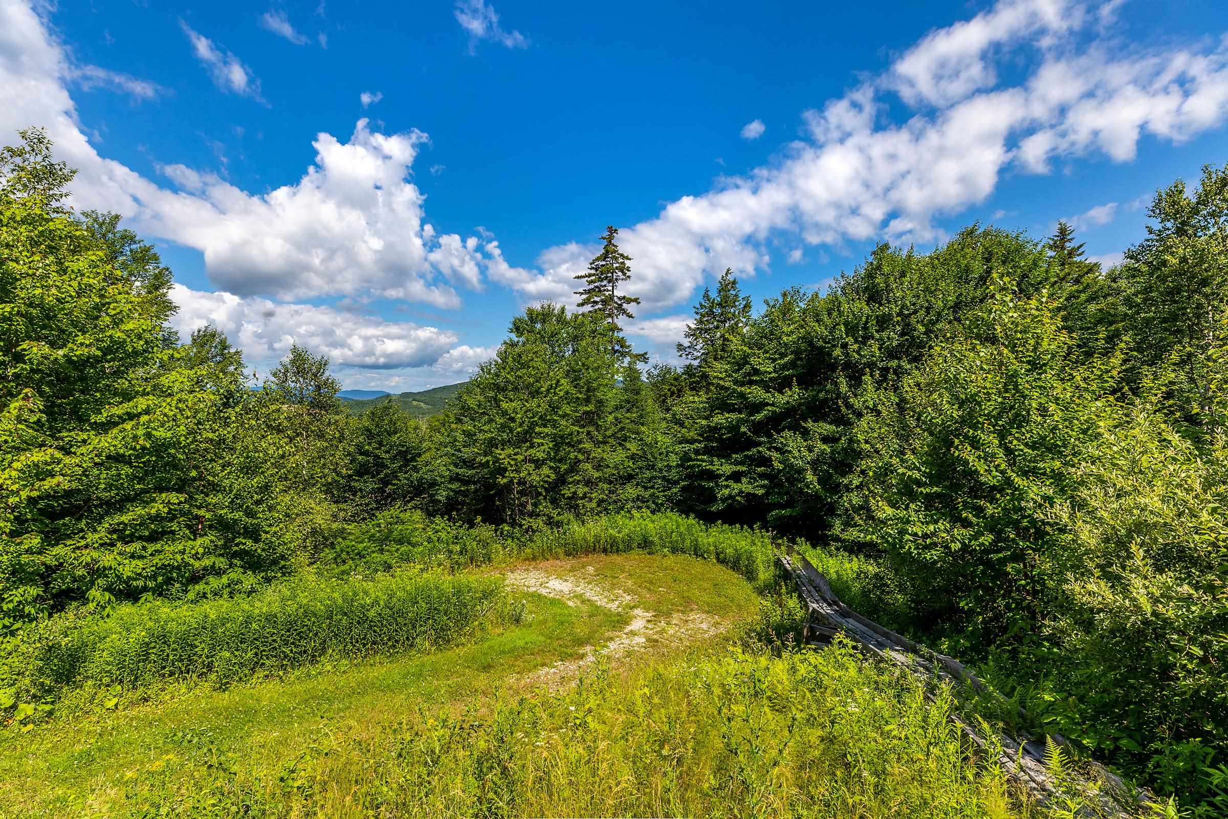 788 Dawley Road Mount Holly, VT 05758 - Photo 36 of 40