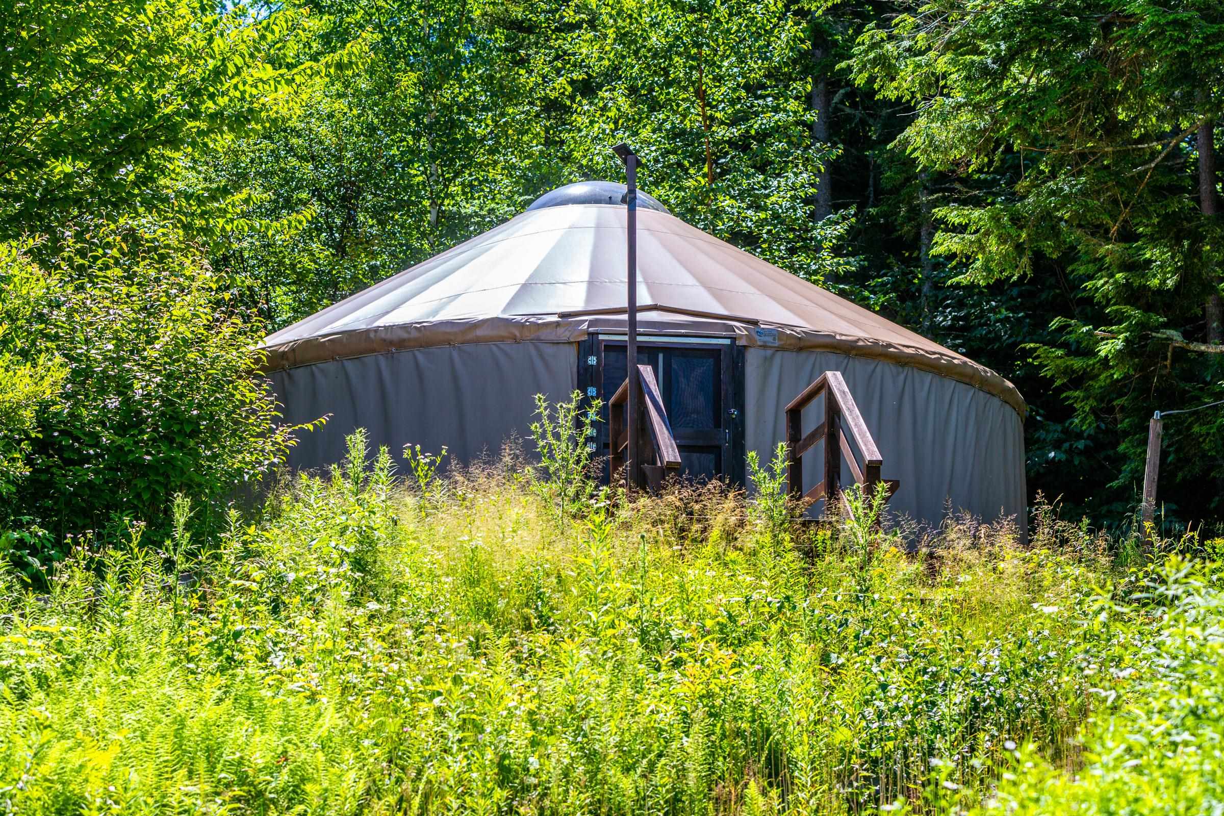 788 Dawley Road Mount Holly, VT 05758 - Photo 38 of 40