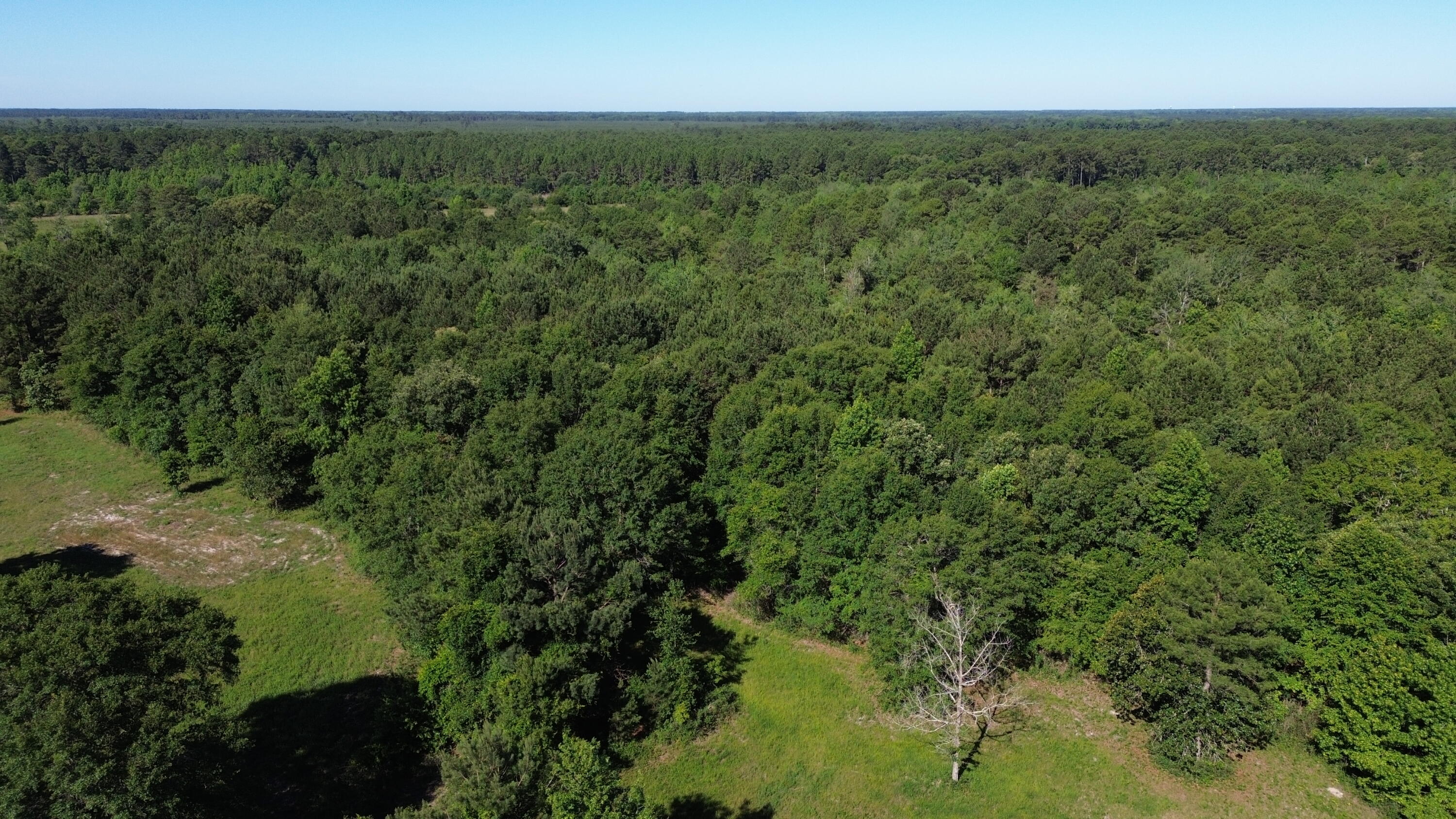0 Holladay Road Manning, SC 29102 - Photo 22 of 35