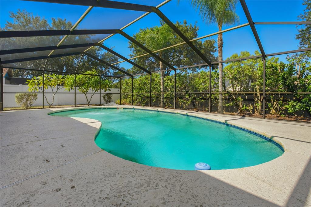 1208 Monte Lake Drive Valrico, FL 33596 - Photo 34 of 42