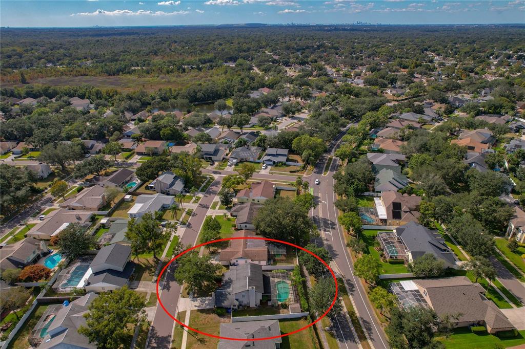 1208 Monte Lake Drive Valrico, FL 33596 - Photo 38 of 42