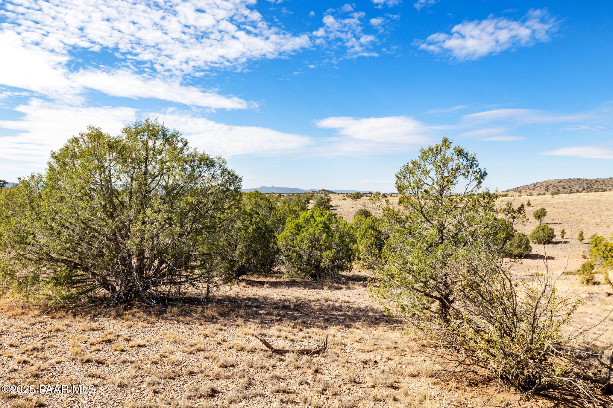 5100 Dillon Wash Road Prescott, AZ 86305 - Photo 12 of 18 a view of a yard with wooden fence
