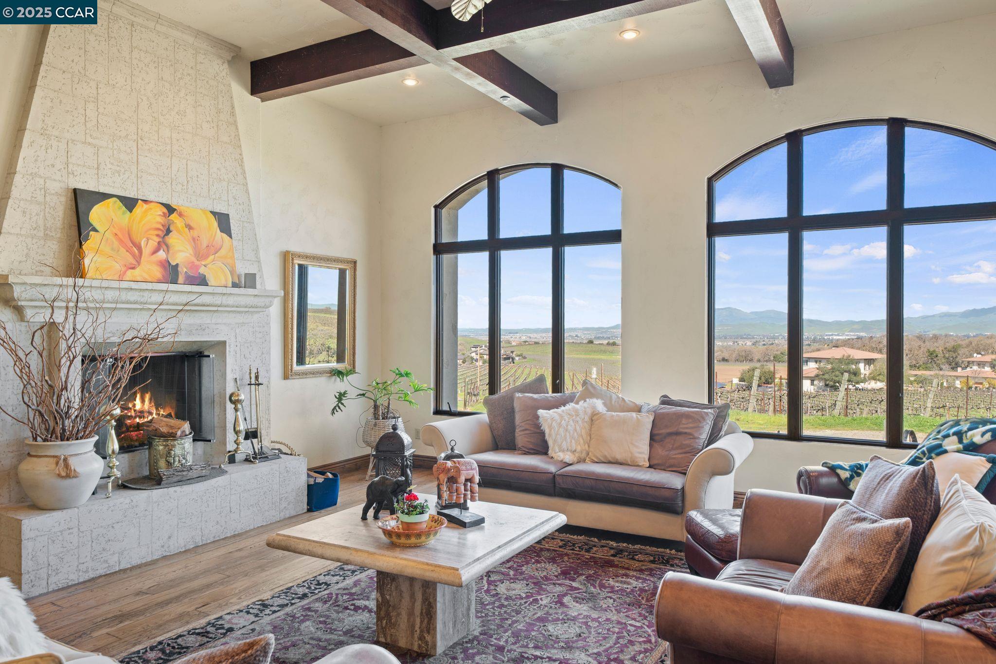 633 Kalthoff Common Livermore, CA 94550 - Photo 6 of 60 a living room with furniture fireplace and a large window