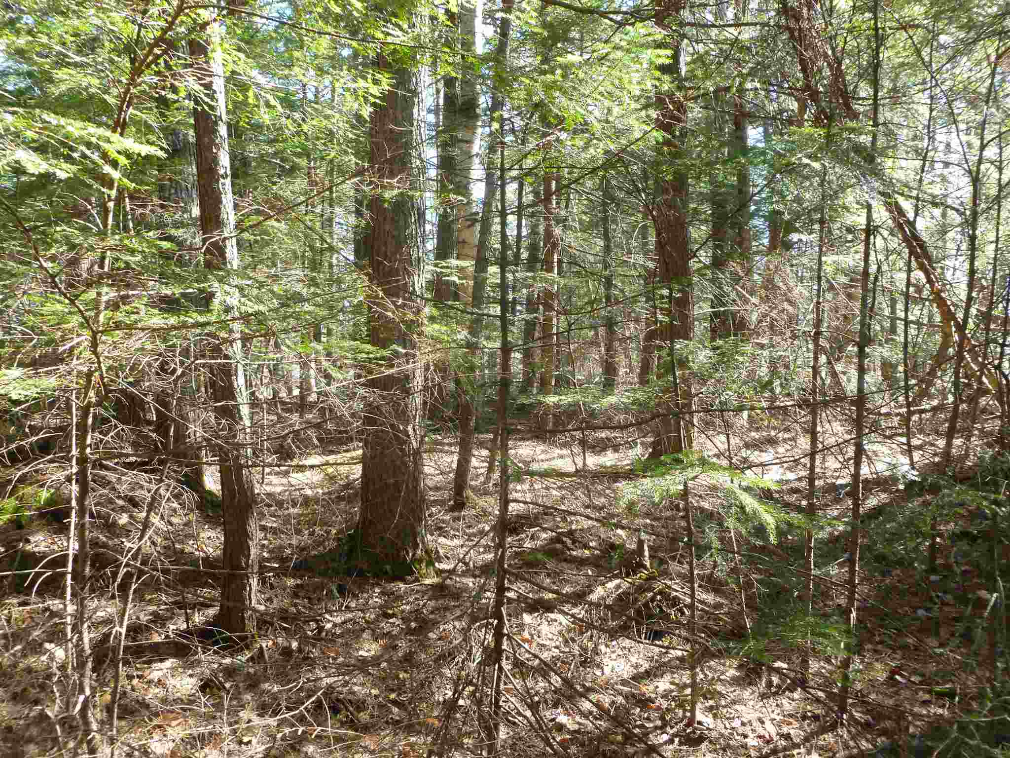 328 Bristol Road Center Barnstead, NH 03225 - Photo 1 of 10
