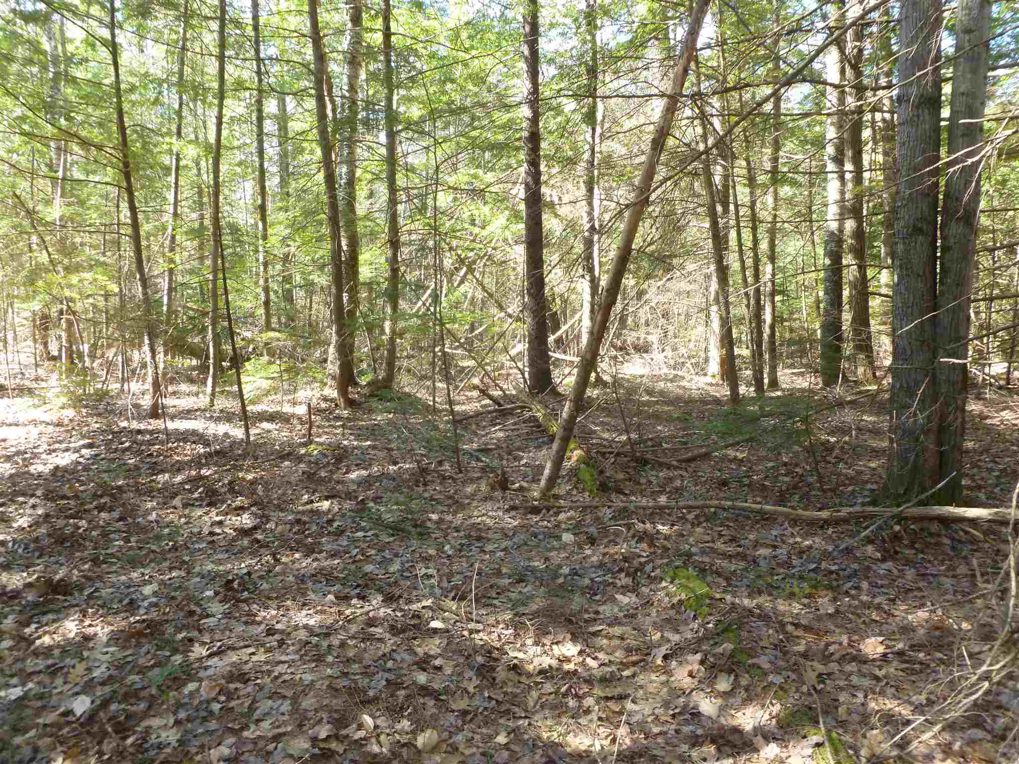 328 Bristol Road Center Barnstead, NH 03225 - Photo 2 of 10