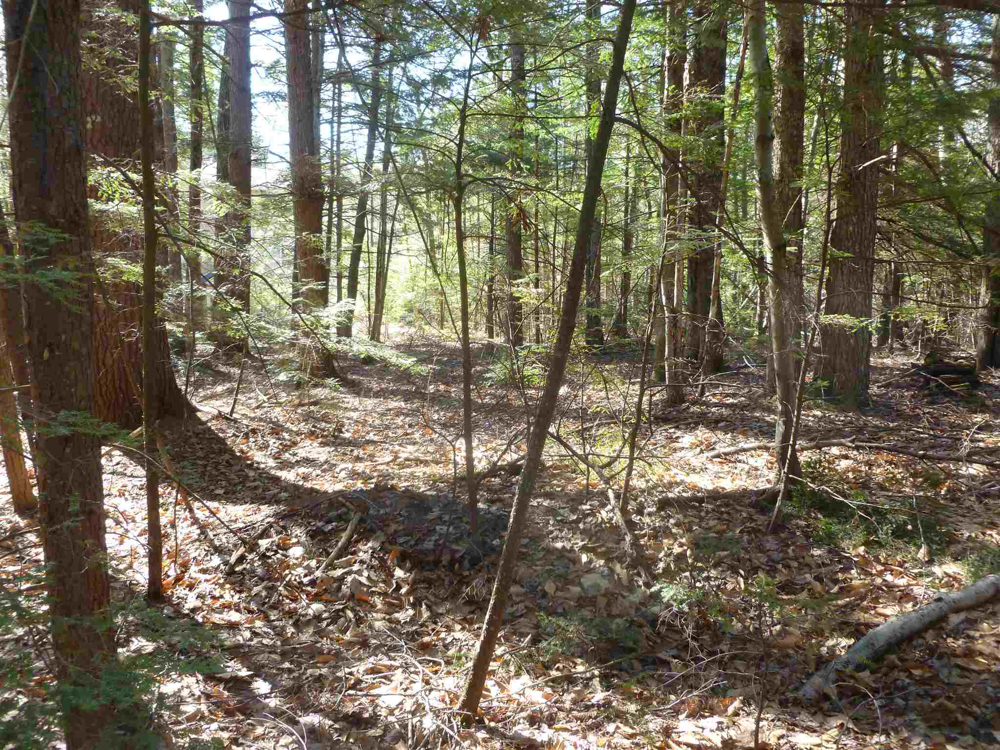 328 Bristol Road Center Barnstead, NH 03225 - Photo 3 of 10