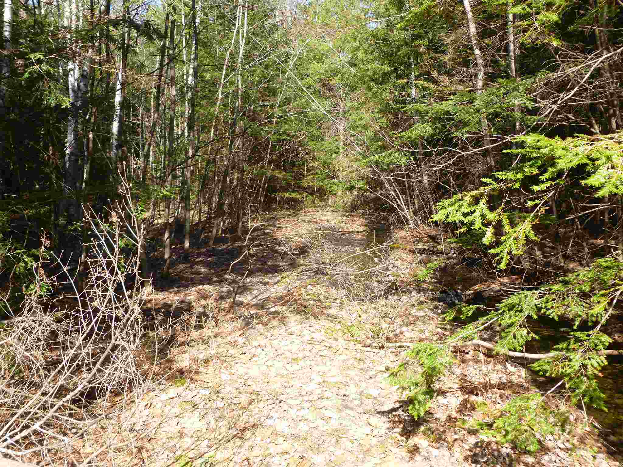 328 Bristol Road Center Barnstead, NH 03225 - Photo 6 of 10