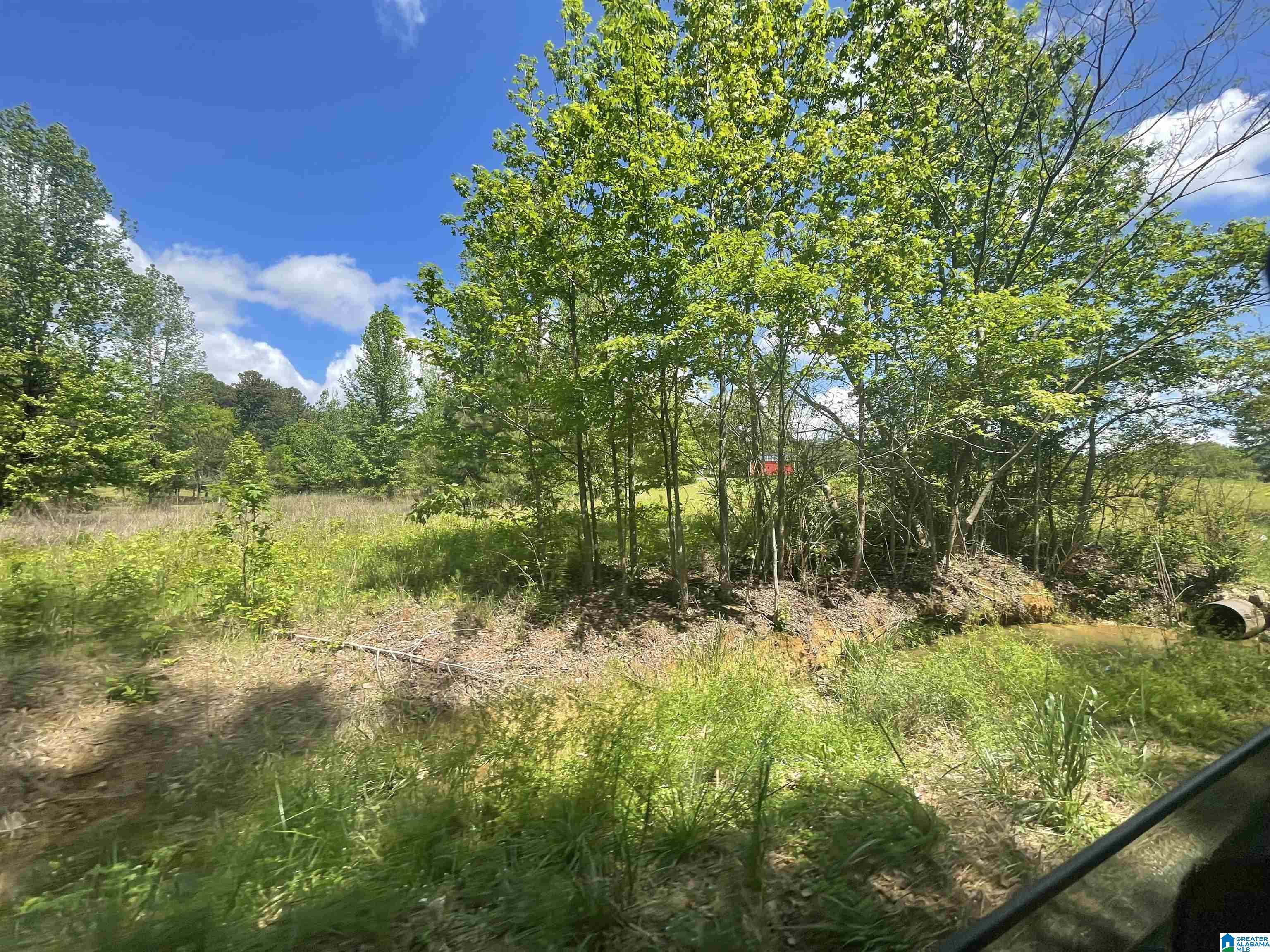 2021 Brookside Road, Unit 3 Mount Olive, AL 35117 - Photo 11 of 16