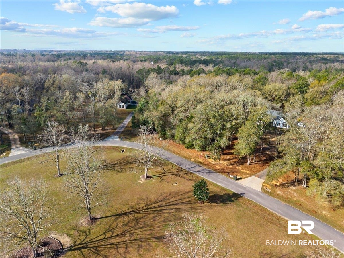 Chene Trace Robertsdale, AL 36567 - Photo 8 of 22 Bird's eye view of a forest